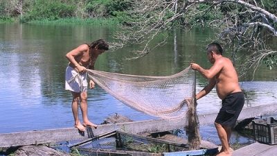 Regulação da pesca na Amazônia